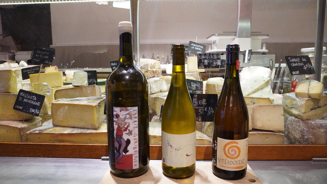 Accord vin et fromage lors d'une dégustation à Nice