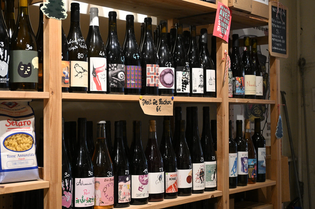 Vins des régions viticoles françaises, conseils de dégustation