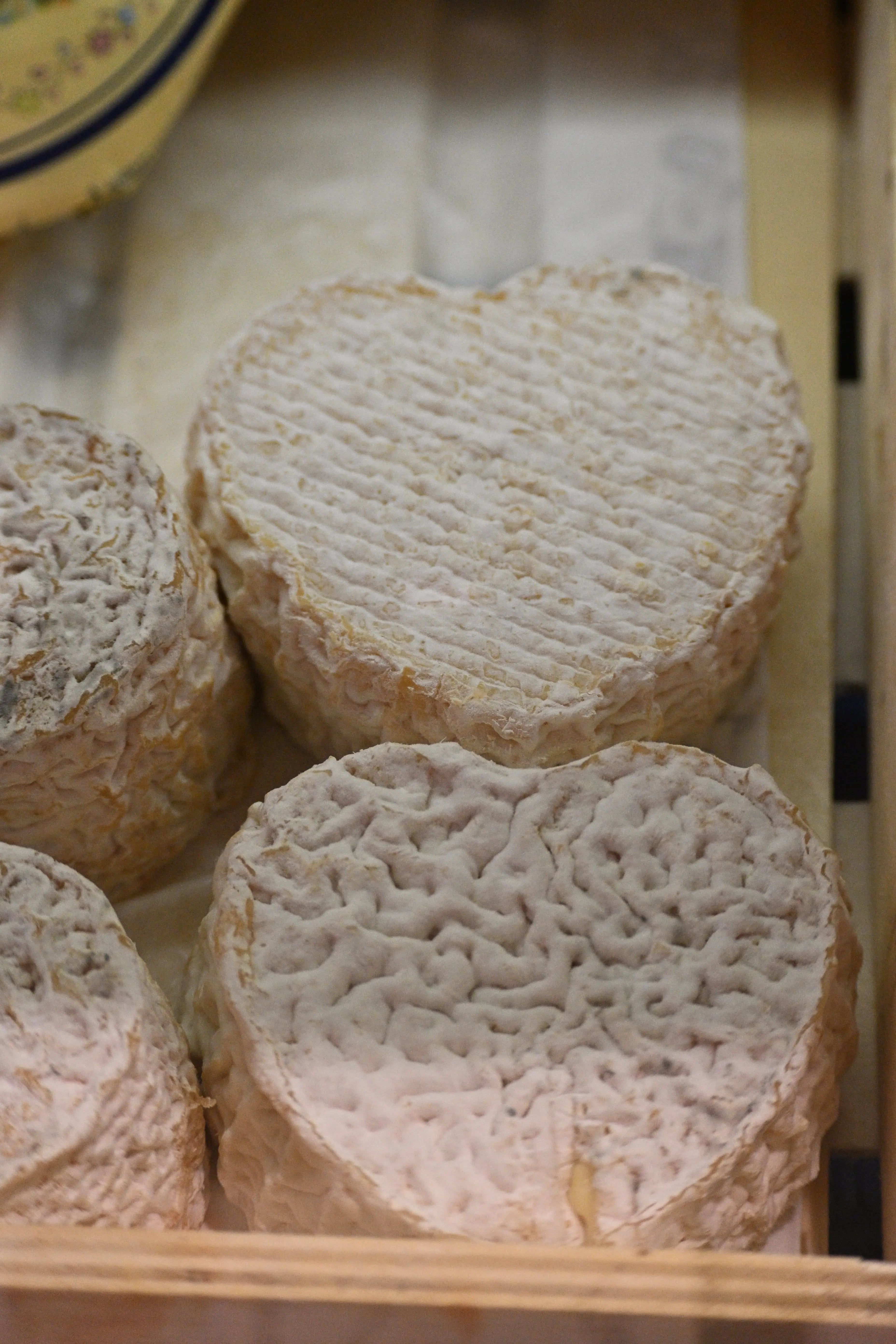 Top Local Cheeses from Provence to Discover in Nice Gusta Nissa