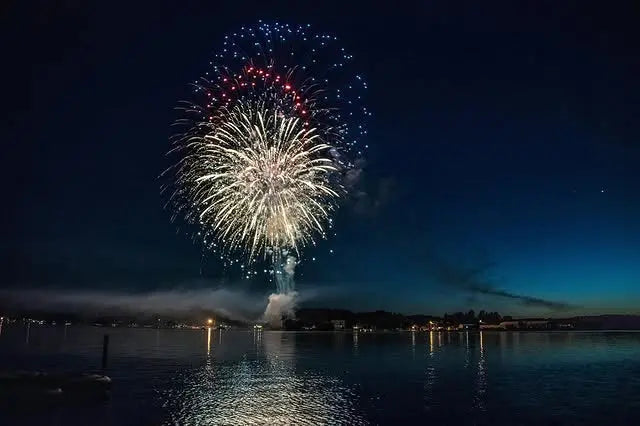 Feu d’artifice à Nice au bord de la mer de nuit