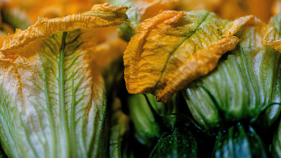 Recette du mois : les beignets de fleurs de courgette Gusta Nissa