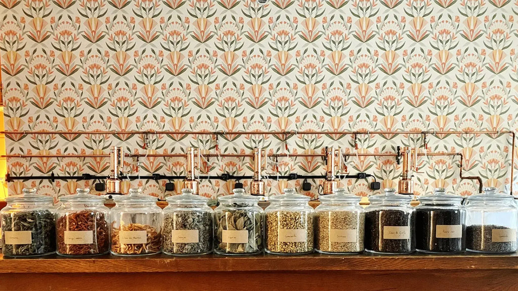 Distillerie niçoise : dégustation de spiritueux faits maison