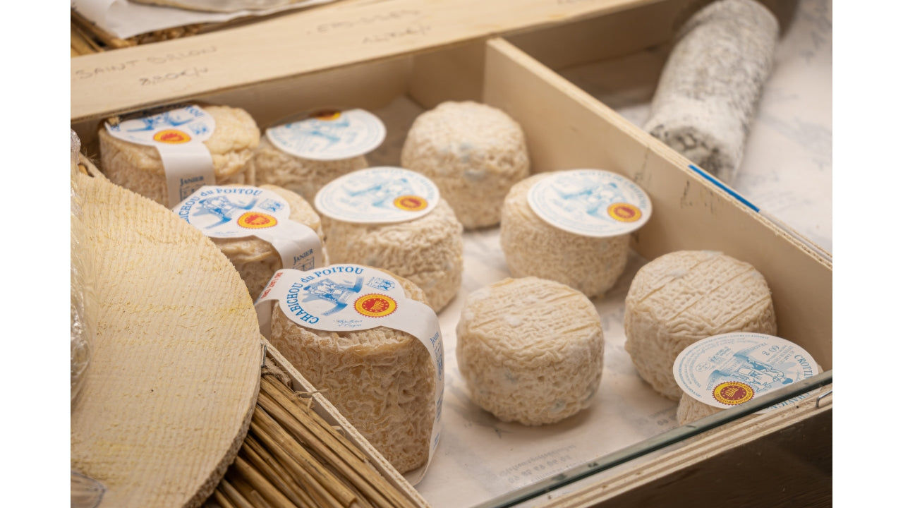 Beer and Cheese Tasting near Nice – Villeneuve-Loubet