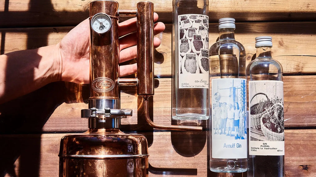 Dégustation de gin et vermouth artisanaux au cœur de Nice