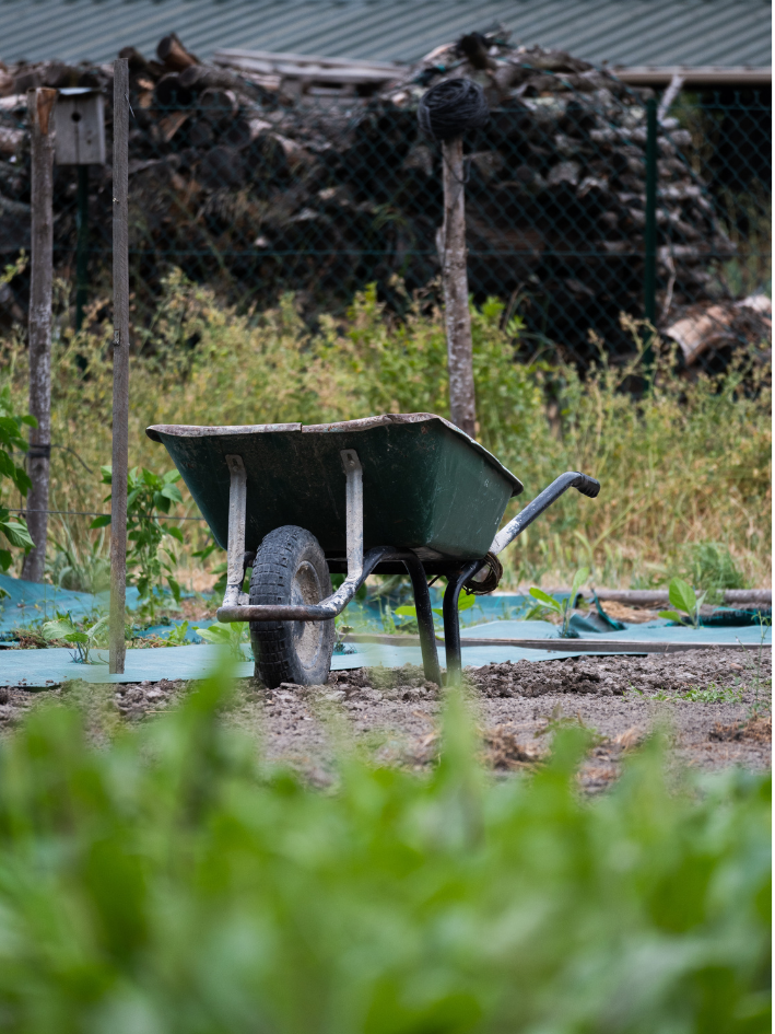 Le potager & le maraîchage