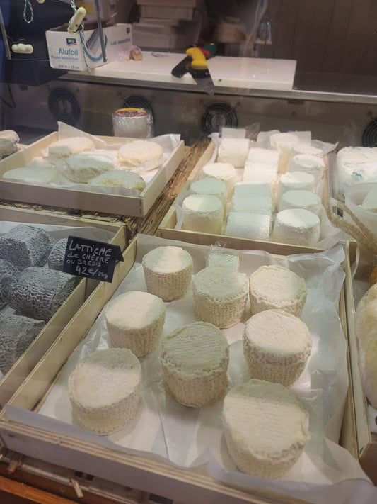 Dégustation 5 Fromages à Nice – Fromages français & italiens