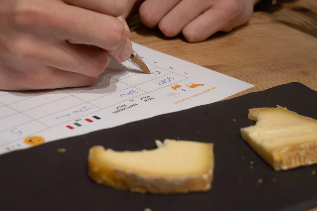 Dégustation à l’aveugle de fromage à Nice – 6 spécialités Gusta Nissa