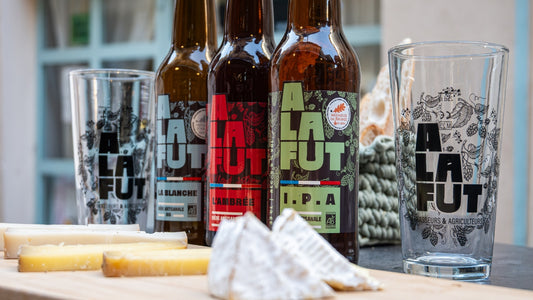Craft beer and cheese tasting in Nice with local brewery bottles and artisan French cheeses on a tasting table in the French Riviera.