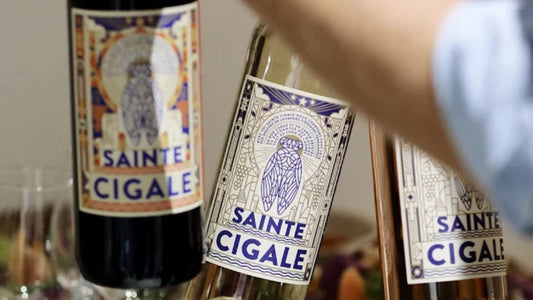 Wine tasting in Marseille featuring Sainte Cigale French wine bottles during a guided food and wine experience.
